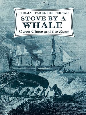cover image of Stove by a Whale